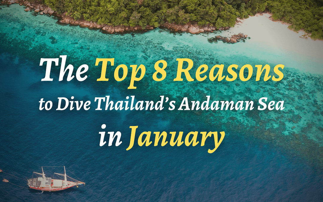 Top 8 Reasons to Dive Thailand’s Andaman Sea in January