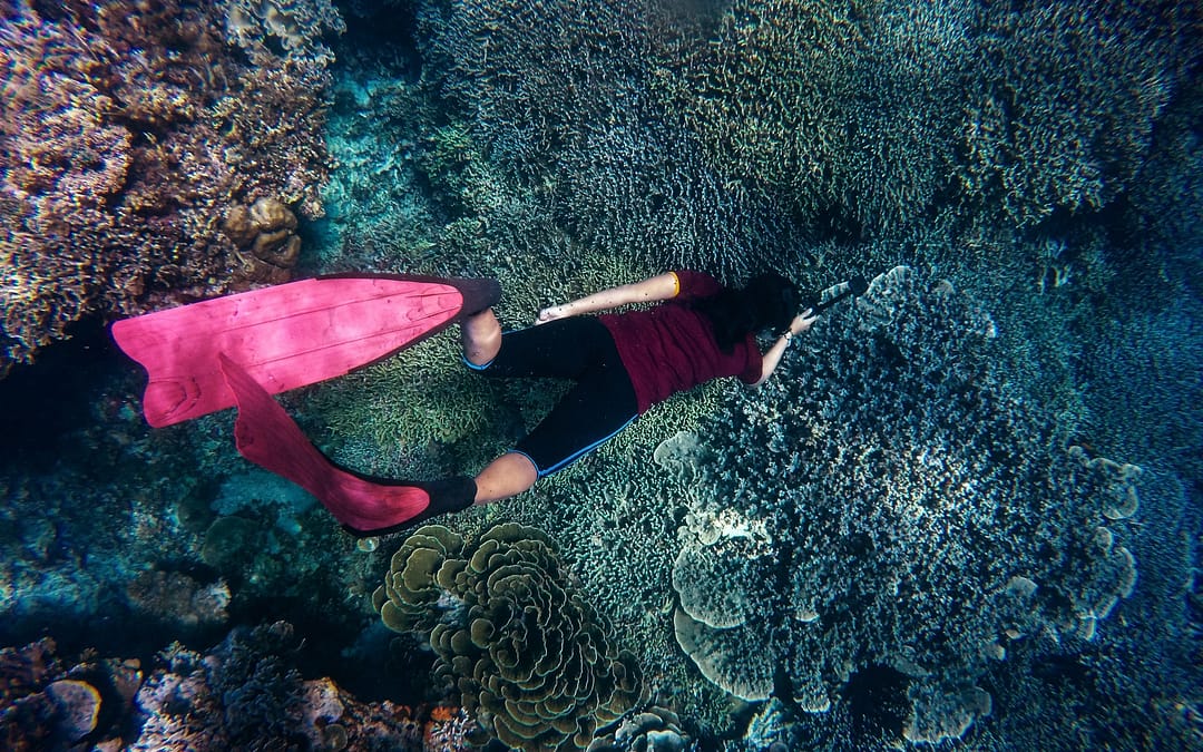 Thai Government bans reef damaging sunscreen – GOING GREEN is the way forward