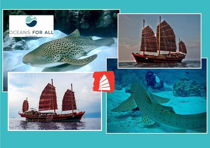 The Junk and Oceans For All Leopard Shark Cruises